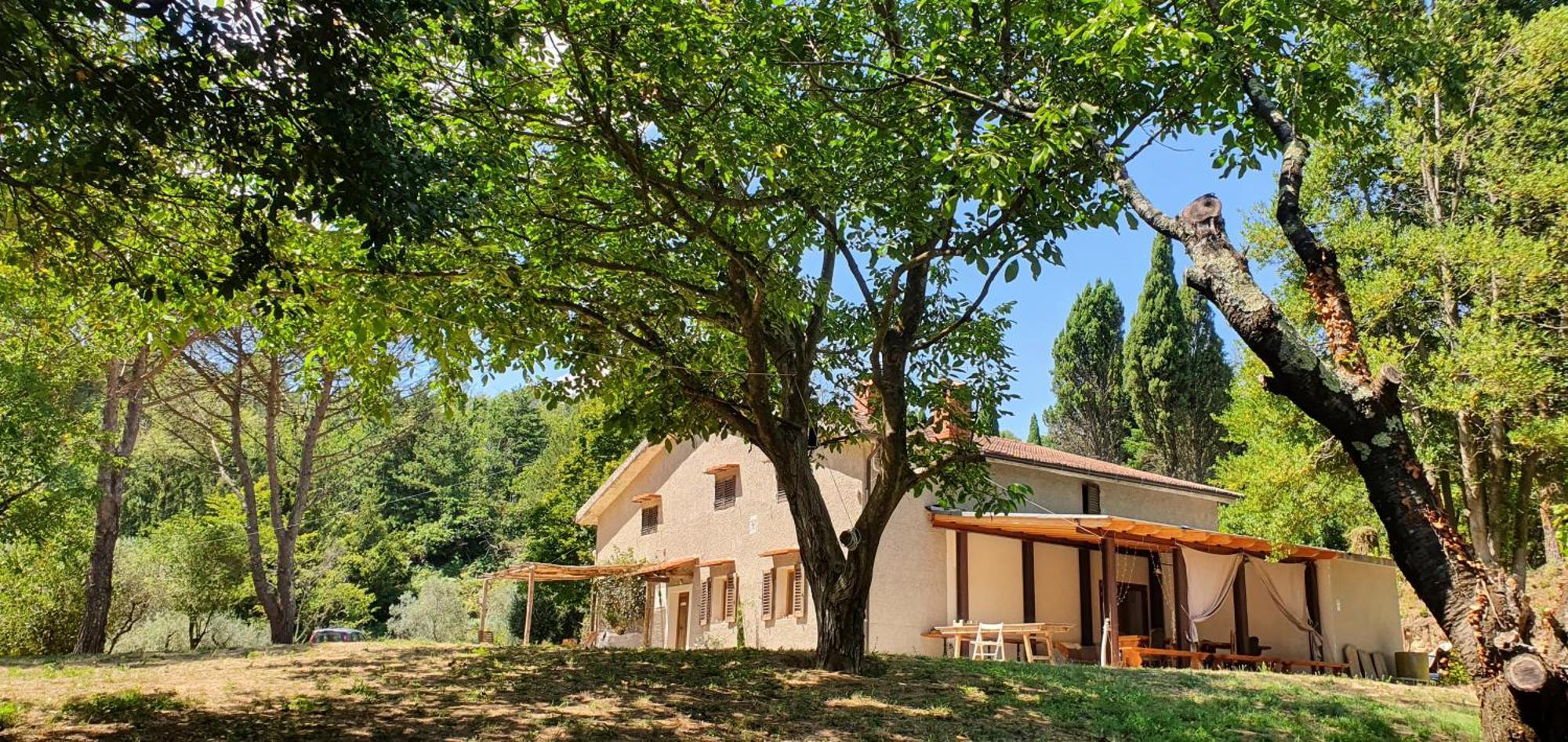 Stirpe Nel Bosco - Appartamento Fiocco Montevettolini Esterno foto